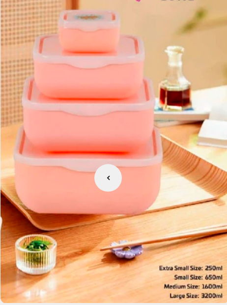 Splash Plastic Food Storage Containers Set | Pack of 4